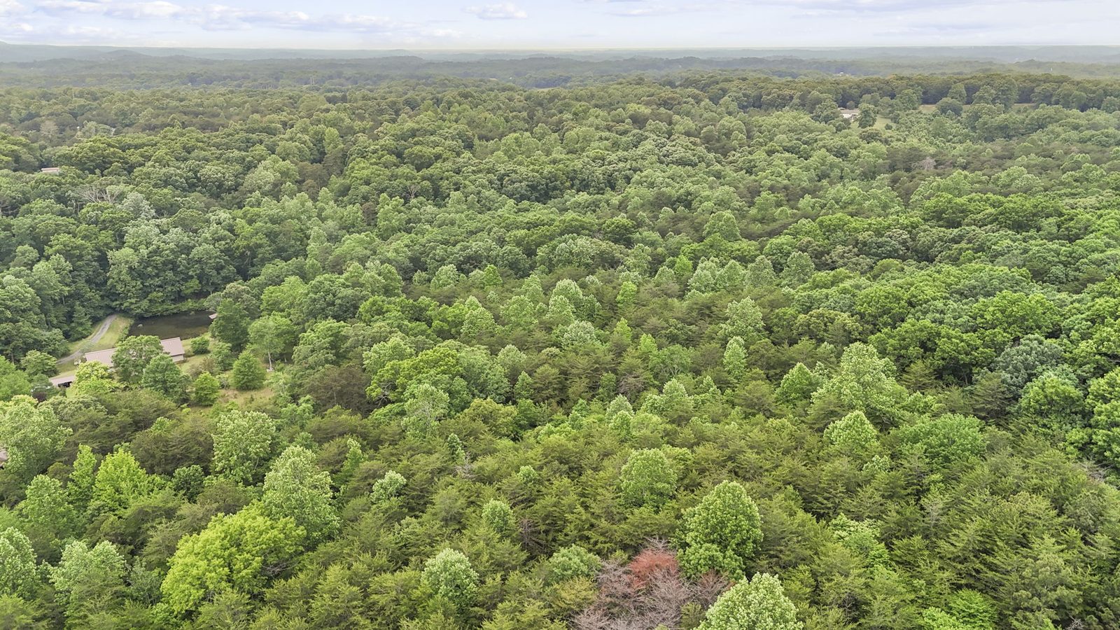 Aerial view of 4454 Ledan Ext, Gainesville GA, the estate and its acreage