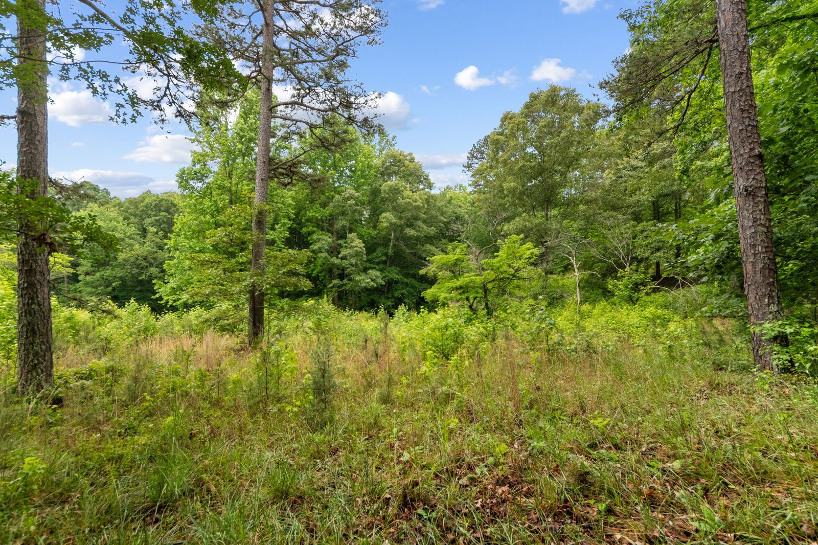 4454 Ledan Ext, Gainesville GA