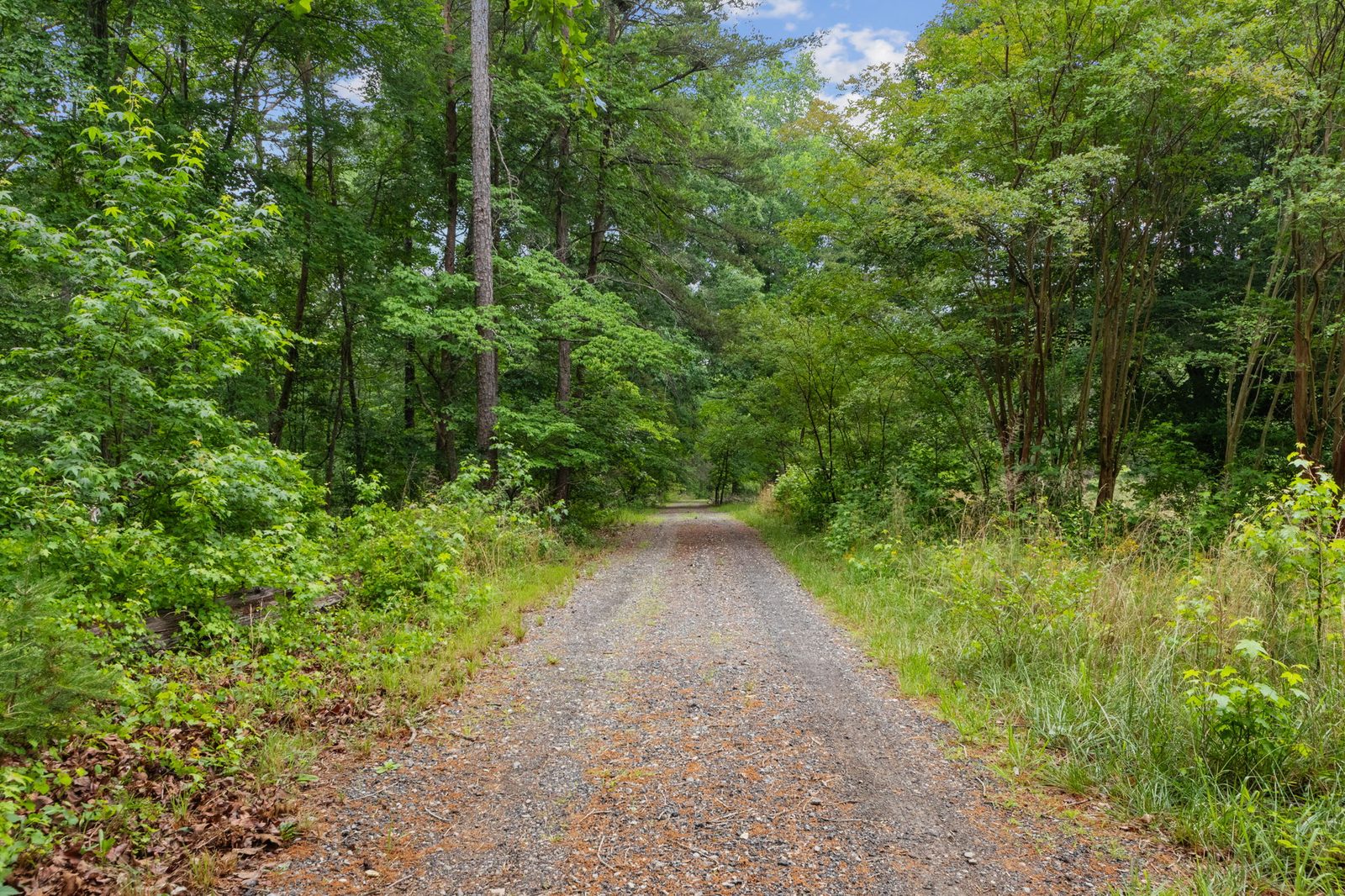 4454 Ledan Ext, Gainesville GA
