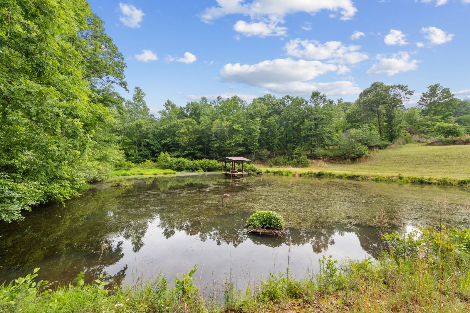 4454 Ledan Ext, Gainesville GA